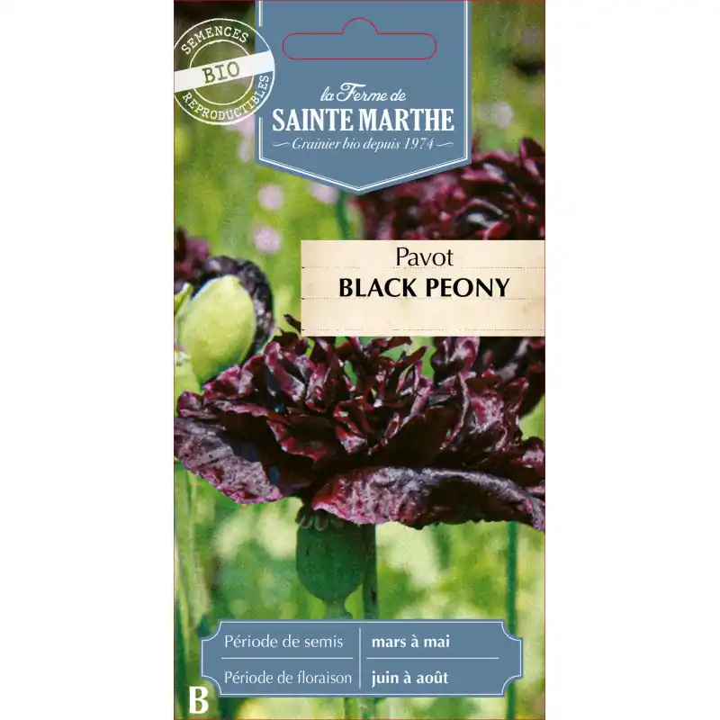 Remise Pavot black peony bio de la ferme sainte marthe pour un jardin fleuri et naturel – graines à semer