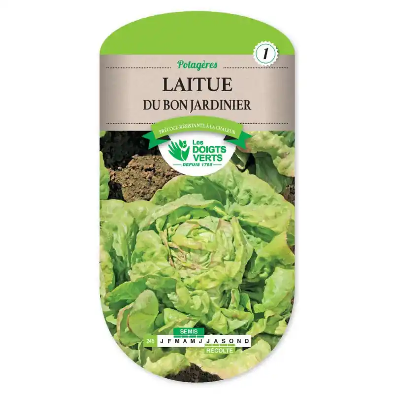 Laitue du bon jardinier – sachet de graines 3g – les doigts verts Offre Spéciale