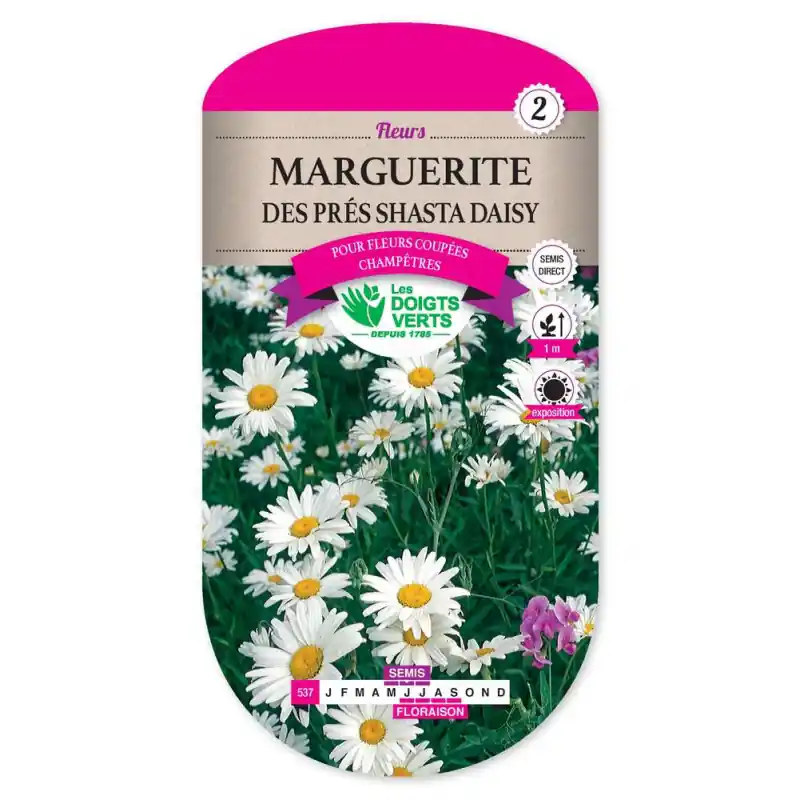 Promotion Saisonnière Marguerite des pres shasta d. – graines 1g – les doigts verts