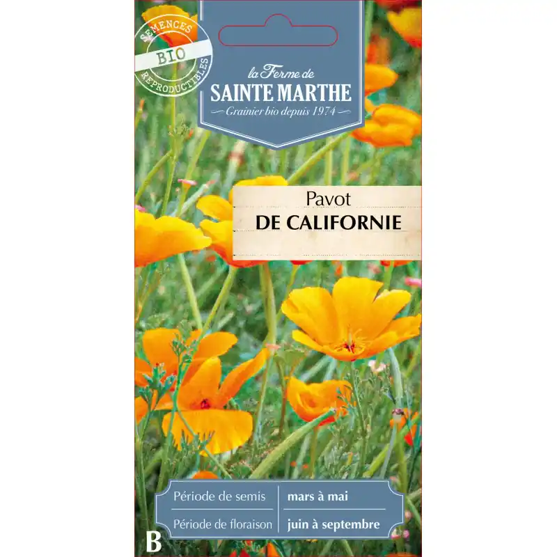 Pavot de californie orange bio pour jardinage écoresponsable – sainte marthe – graines à semer Prix Choc