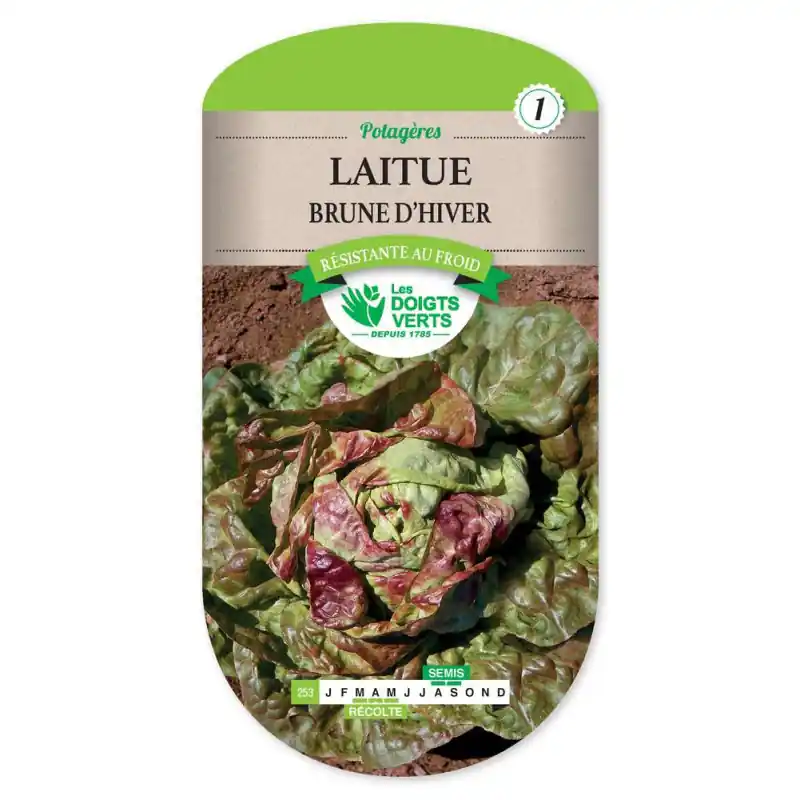 Marque Laitue brune d‘hiver passion b. – graines 4g – les doigts verts