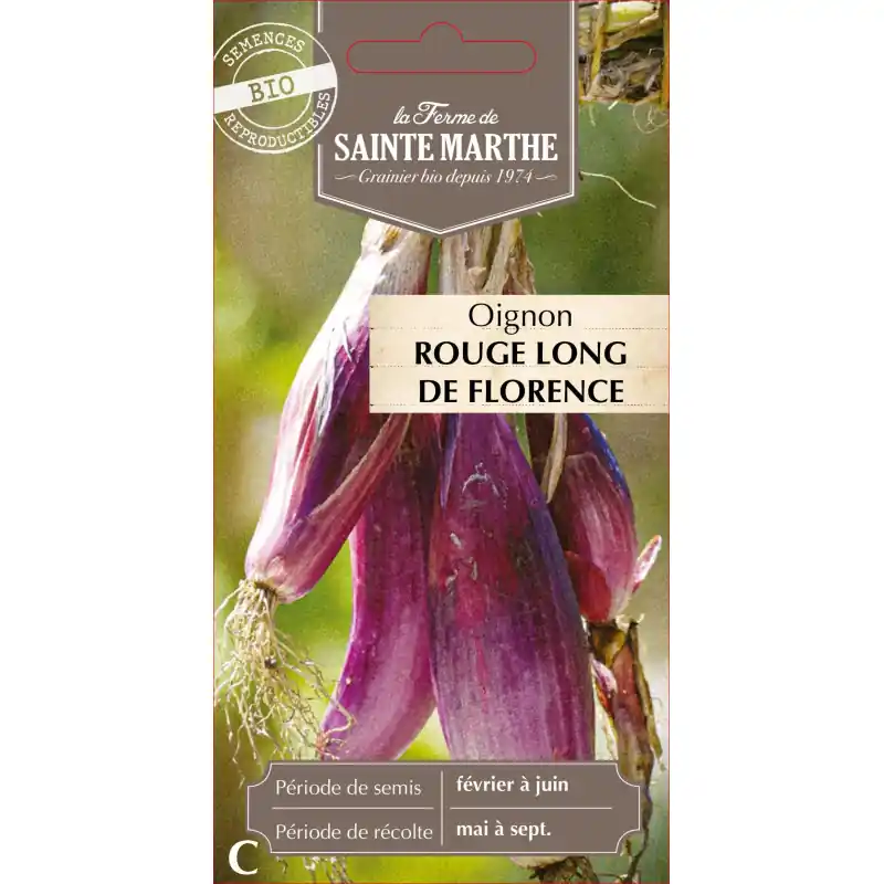 Oignon rouge long de florence bio sainte marth – légume frais et savoureux – graines à semer Satisfait Ou Remboursé