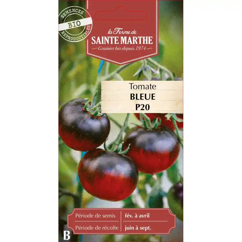 Tomate bleue bio p20 – culture agricole ferme sainte marthe – graines à semer Prix Cassé