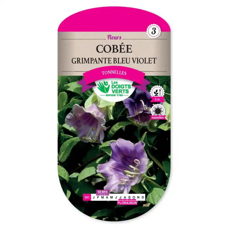 Satisfait Ou Remboursé Cobee grimpante bleu violet – graines 1,5g – les doigts verts