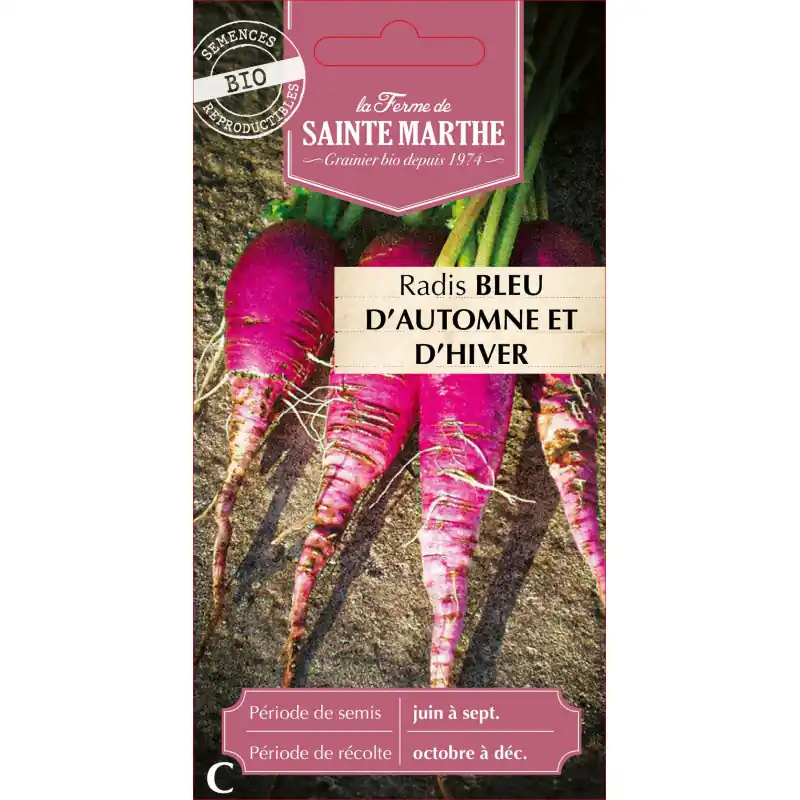 Commande En Gros Radis bleu d‘automne et d‘hiver – graines sainte marthe