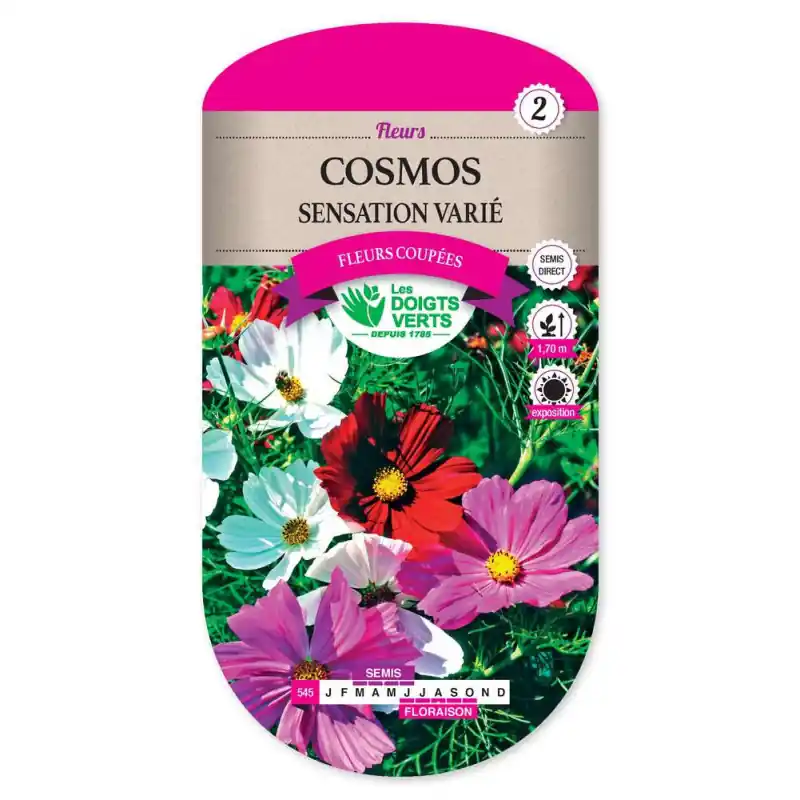 Cosmos sensation varie – sachet de graines 3g – les doigts verts Nouvelle Collection