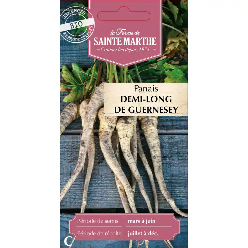 Livraison Express Panais bio 1/2 long de guernesey - légume sain et savoureux - graines à semer