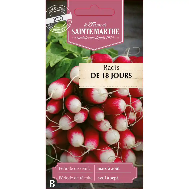Radis bio 18 jours de la ferme sainte marthe, frais et savoureux – graines à semer Vente Directe