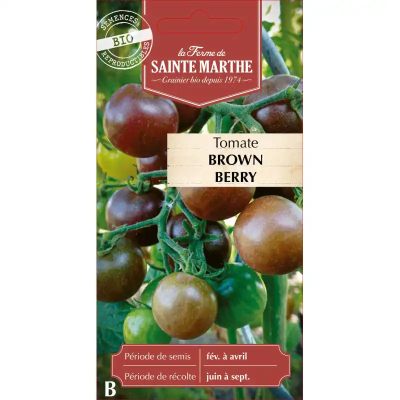 Meilleur Prix Tomate brown berry bio de la ferme sainte marthe - saveurs authentiques et qualité premium - graines à semer