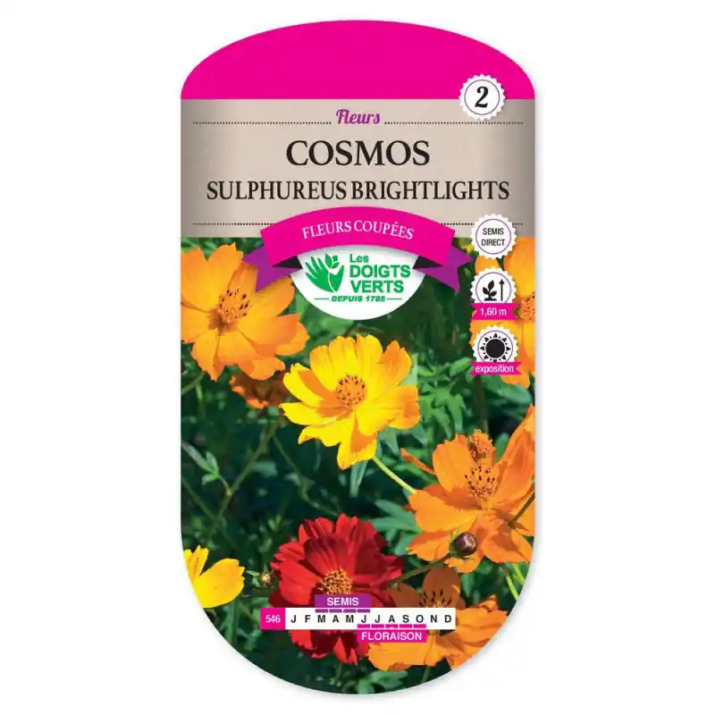 Prix Réduit Cosmos sulfureus – brightlights – graines 2g – les doigts verts