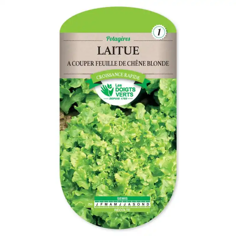 Commander Maintenant Laitue a couper feuille de chene – graines 4g – les doigts verts