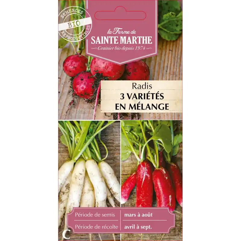 Radis en mélange bio – sainte marthe pour potager et jardin 500g – graines à semer Nouveauté