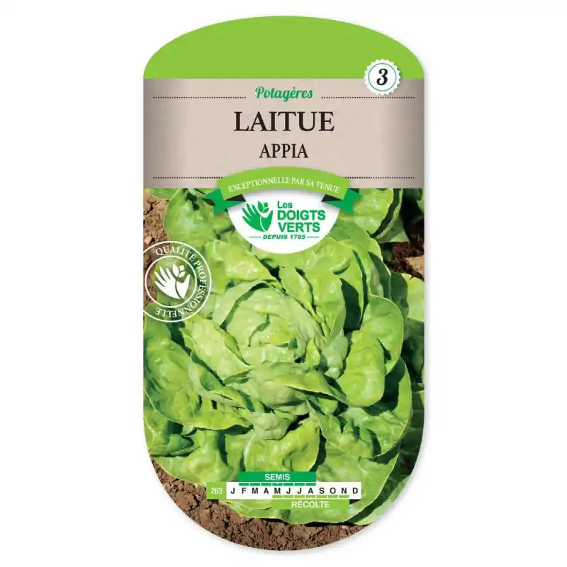 Vente Flash Laitue appia – sachet de graines 3g – les doigts verts