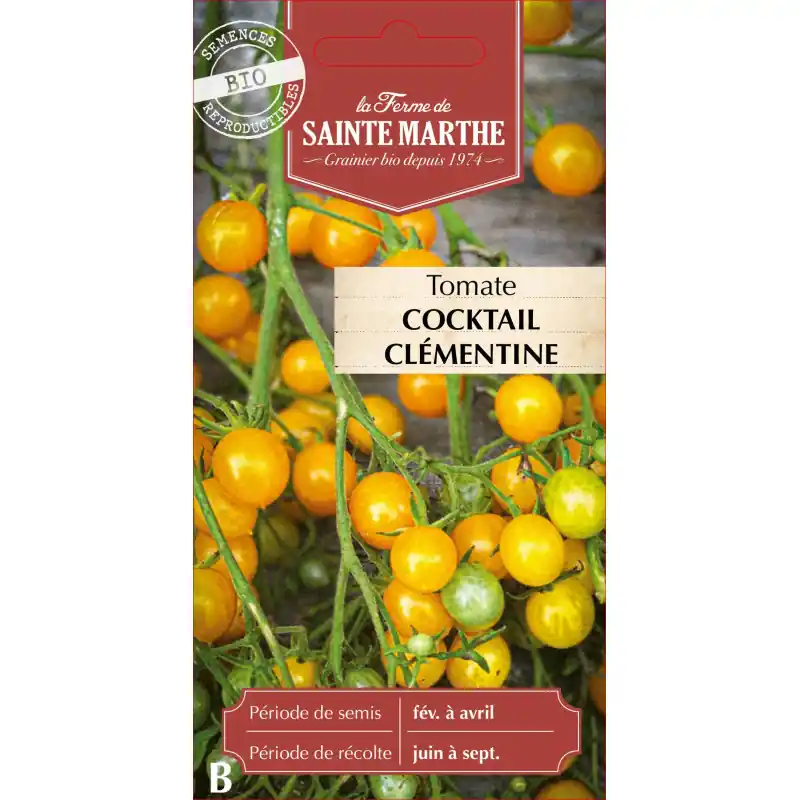 Promotion Saisonnière Tomate cocktail clémentine bio sainte marthe 250g – graines à semer