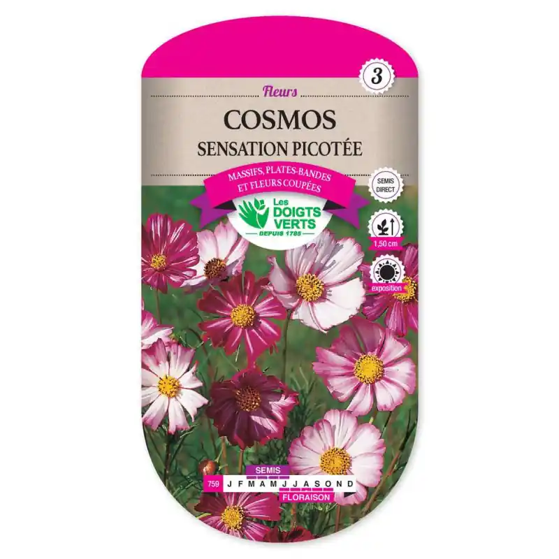 Pas Cher Cosmos picotee – sachet de graines 2g – les doigts verts
