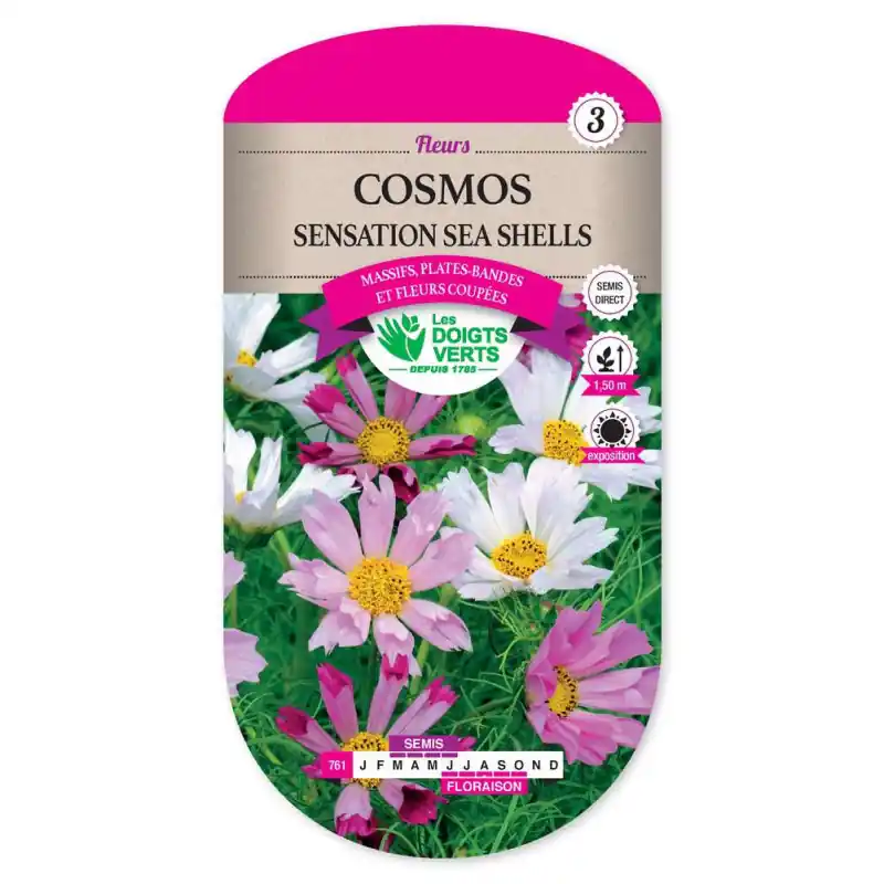 Nouveauté Cosmos sea shells – sachet de graines 2g – les doigts verts