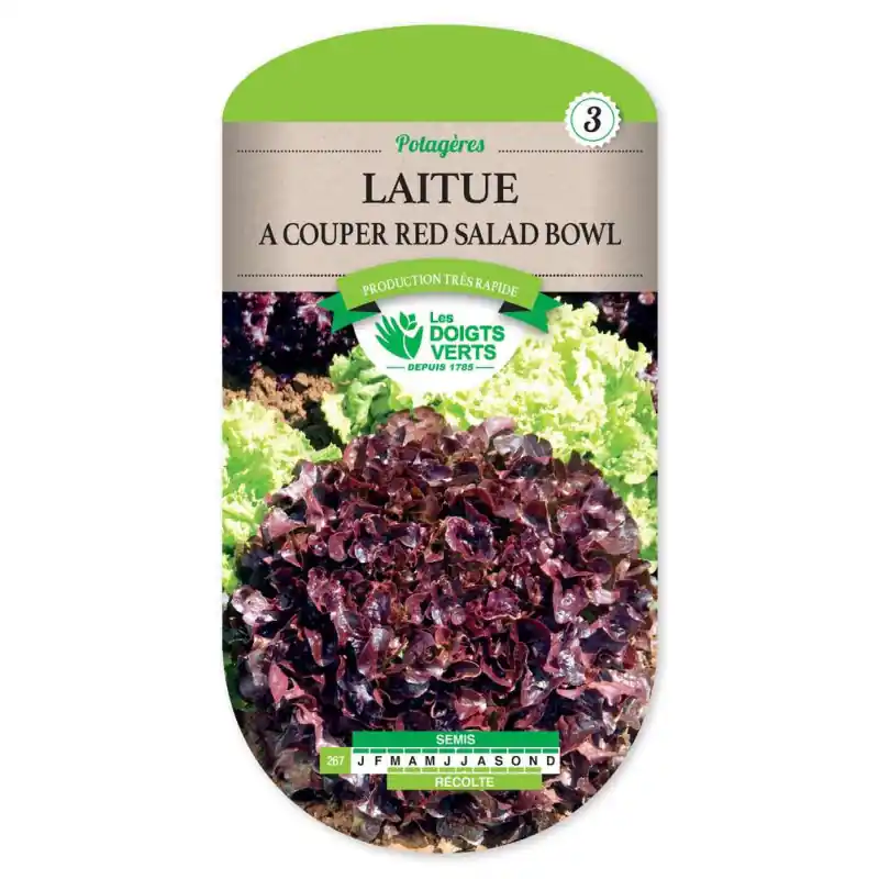 Laitue bowl rouge – sachet de graines 4g – les doigts verts Commander Vite