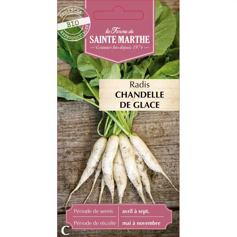 Radis rave chandelle de glace bio sainte marth pour une cuisine saine et gourmande – graines à semer Top Vente