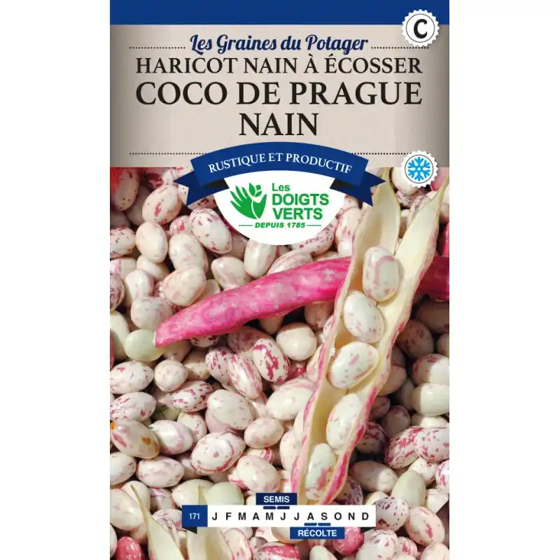 Jusqu'à Épuisement Des Stocks Haricot nain coco rose de prague - graines 220g - les doigts verts