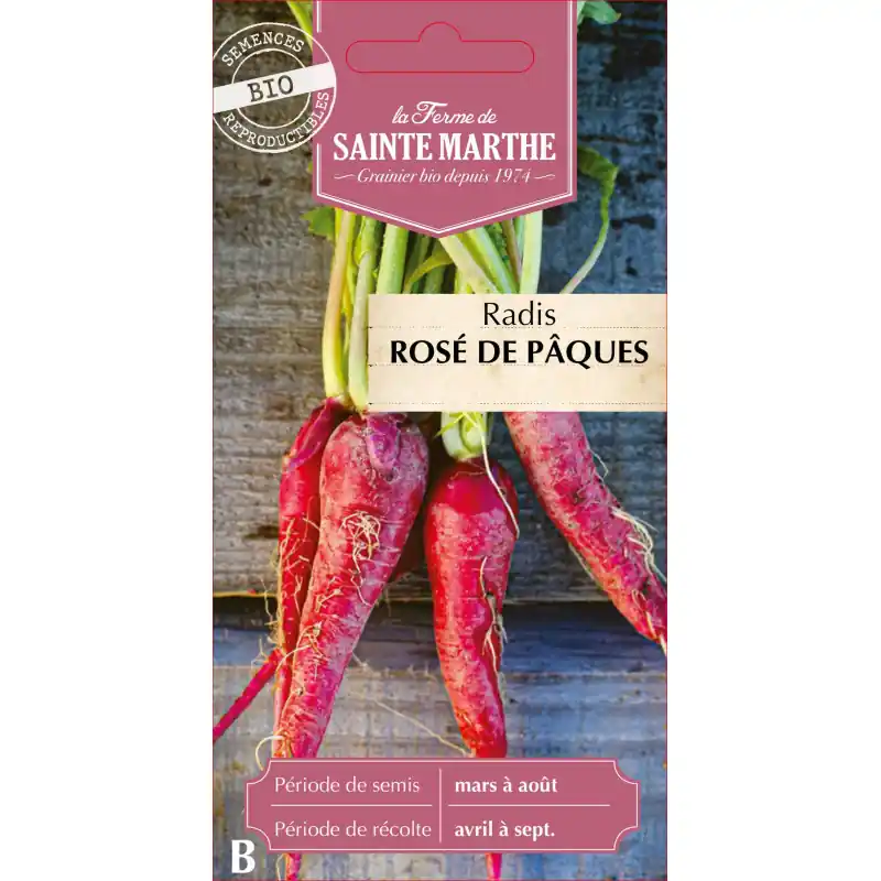 Radis rave rose de pâques bio 3 pièces – sainte marthe – graines à semer Expédié Aujourd&rsquo;hui