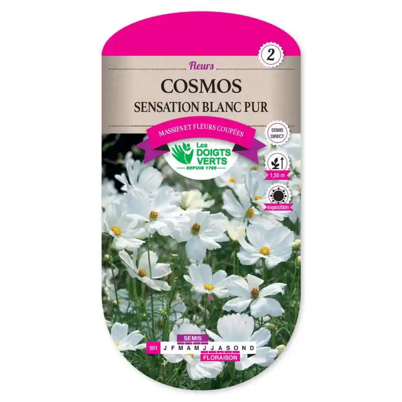 Cosmos sensation blanc – sachet de graines 2g – les doigts verts Nouvel Arrivage