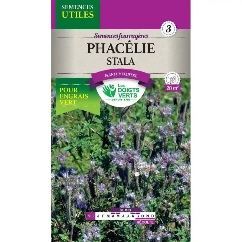 Affaire À Saisir PHACELIA ECO – graines 25g – Les doigts verts