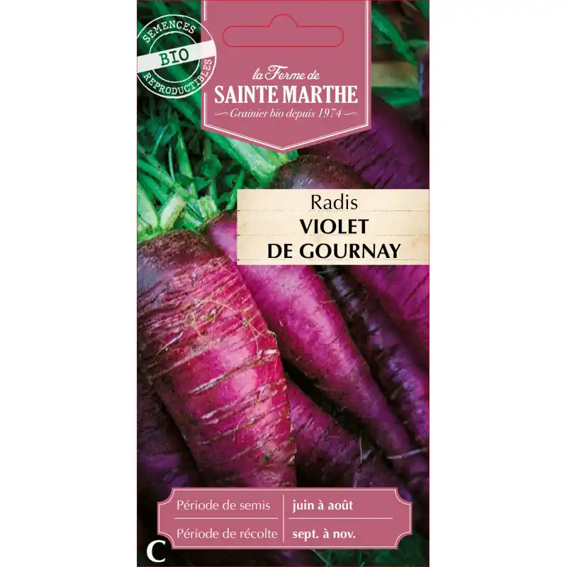 Réduction Radis rave violet bio de gournay – sainte marthe – graines à semer