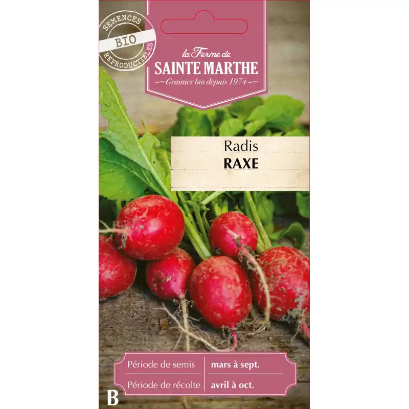 Dernier Modèle Radis raxe bio – délicieux et croquants de la ferme sainte marthe – graines à semer