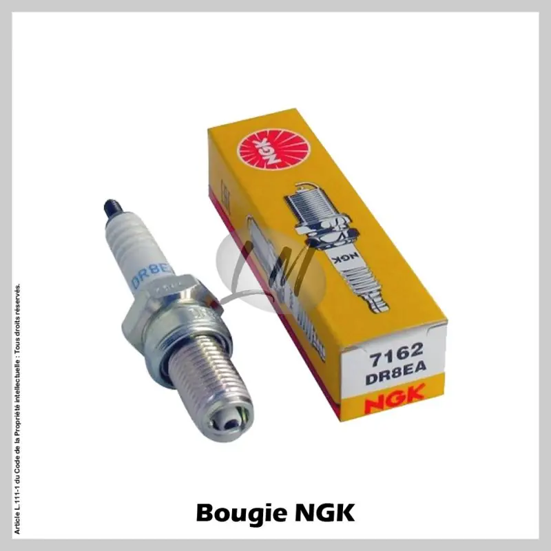 Authentique Bougie NGK DR8EA