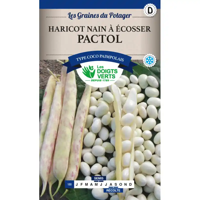 Prix Choc Haricot nain pactol – sachet de graines 220g – les doigts verts