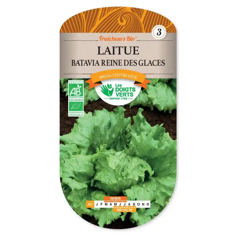 Bon Marché Laitue bat.reine des glaces bio – graines 3g – les doigts verts