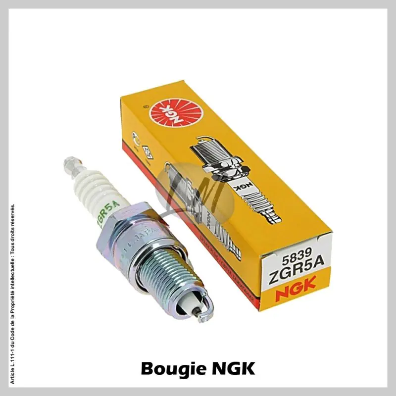 Bougie NGK ZGR5A Livraison Express