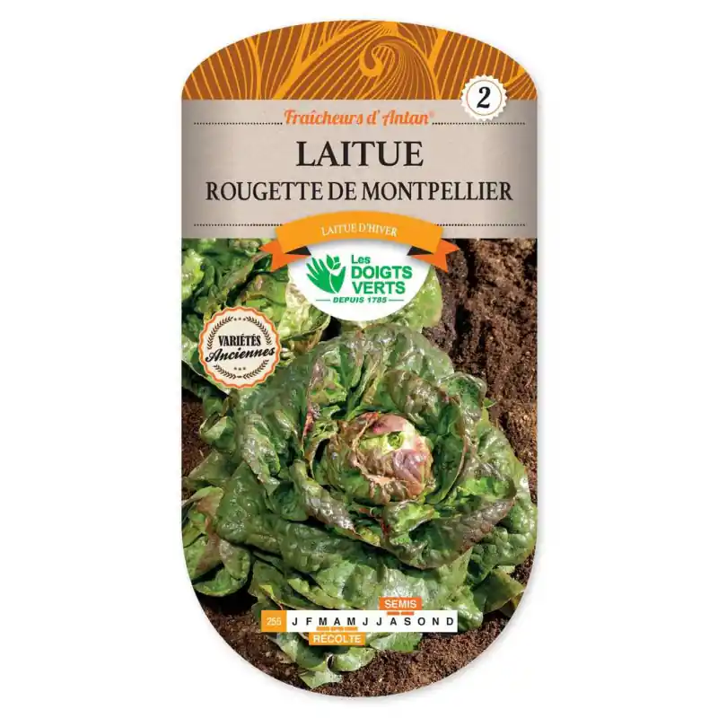 Acheter Direct Laitue rougette de montpellier – graines 4g – les doigts verts
