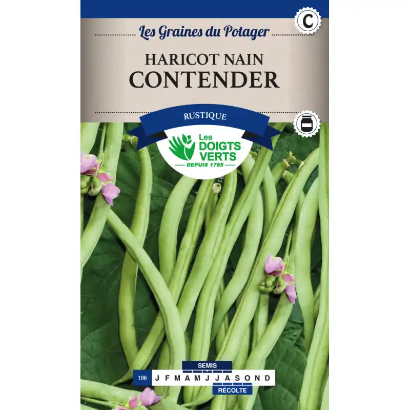 Haricot nain contender – sachet de graines 250g – les doigts verts Jusqu&rsquo;à Épuisement Des Stocks