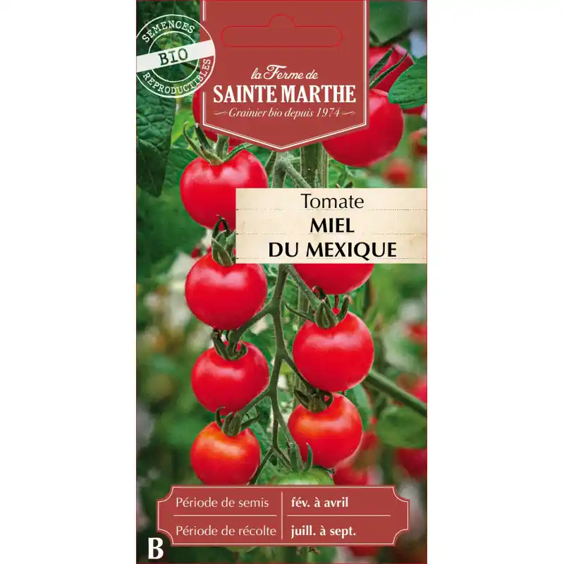 Populaire Tomate miel bio du mexique – saveurs de la ferme sainte marthe – graines à semer