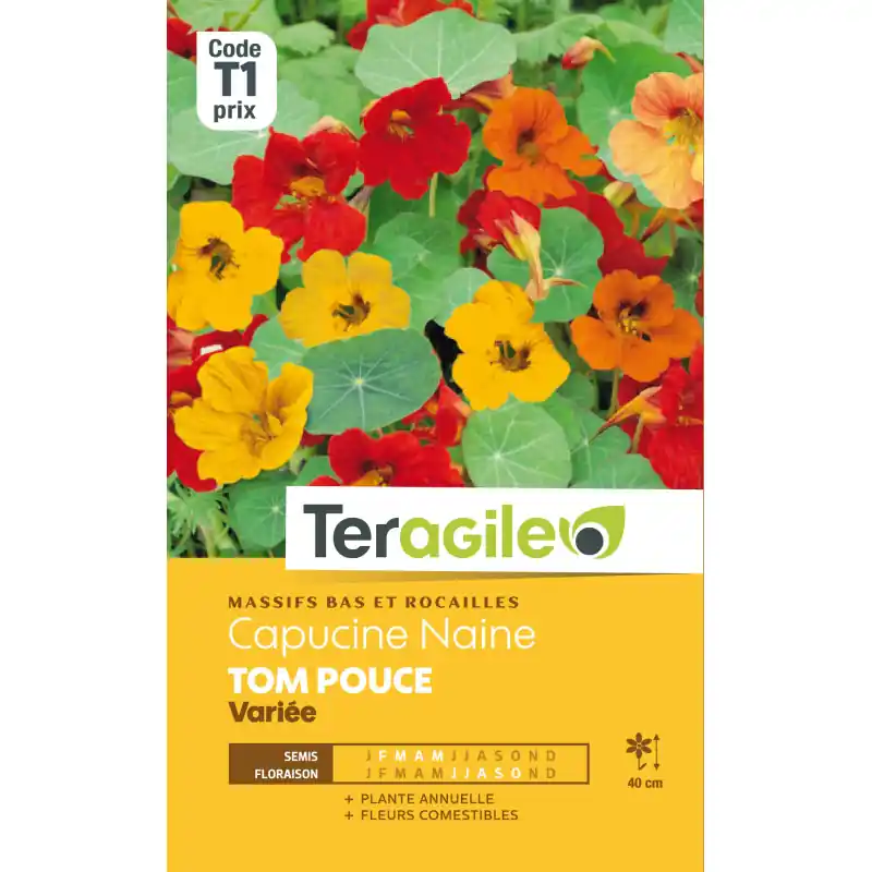 Meilleure Vente Capucine naine tom pouce variee 5,00 g