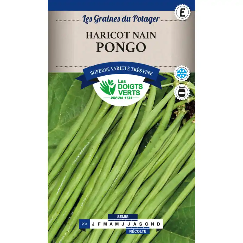 Prix Promo Haricot nain pongo – sachet de graines 150g – les doigts verts