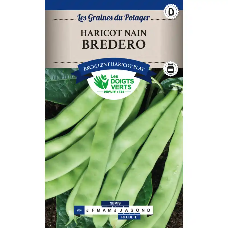 Meilleur Choix Haricot nain bredero – sachet de graines 200g – les doigts verts