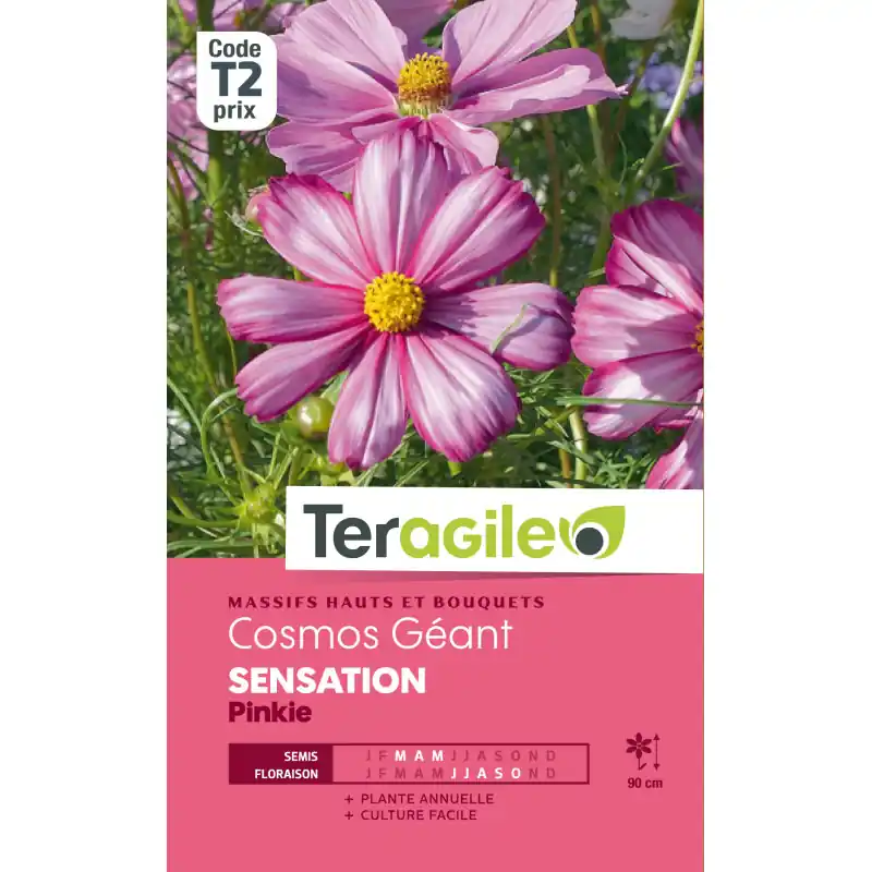 Cosmos geant sensation pinkie 1,50 g Prix Choc