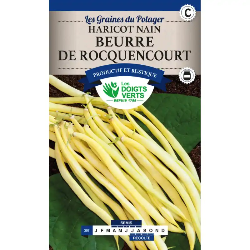 Haricot nain beurre rocquencourt – graines 200g – les doigts verts Haute Qualité
