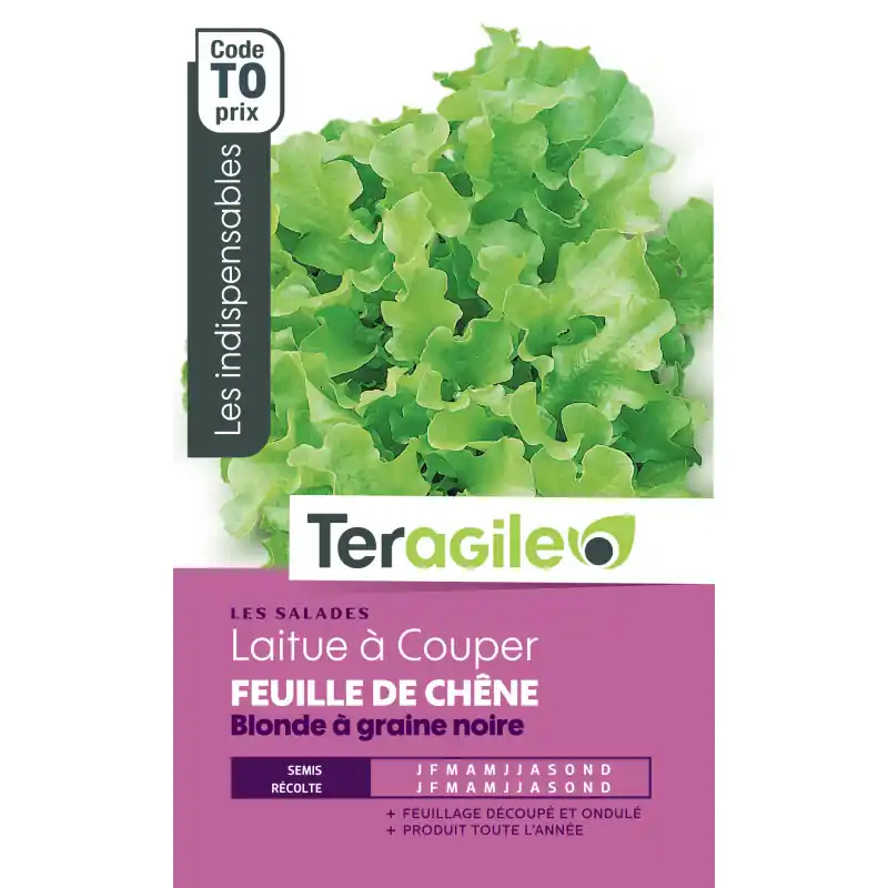 Laitue feuil, chene blde t0 teragile Jusqu&rsquo;à Épuisement Des Stocks