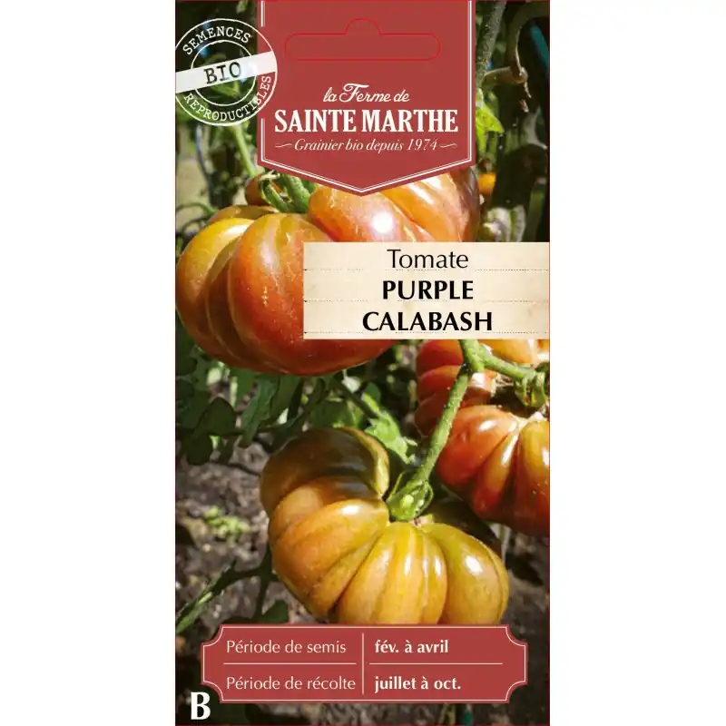 Tomate purple calabash bio – savoureuse et originale de la ferme sainte marthe – graines à semer Usine Directe