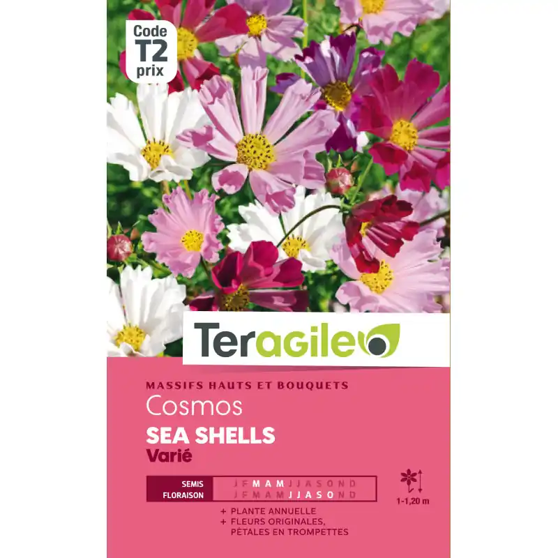 Cosmos sea shells varie 1,00 g Nouvel Arrivage