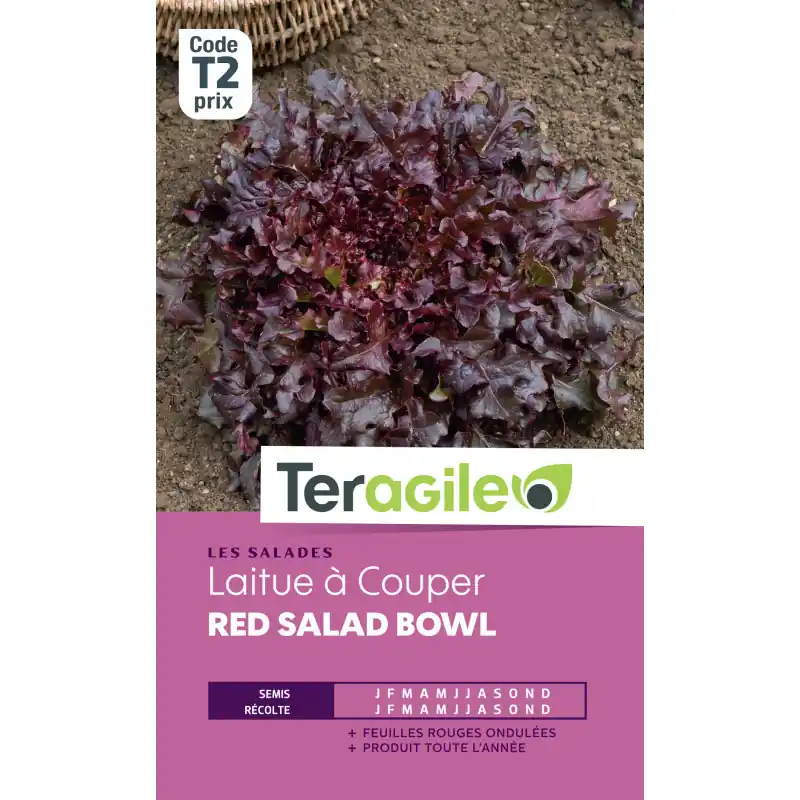 Prix Choc Laitue a couper red salad bowl t2 teragile