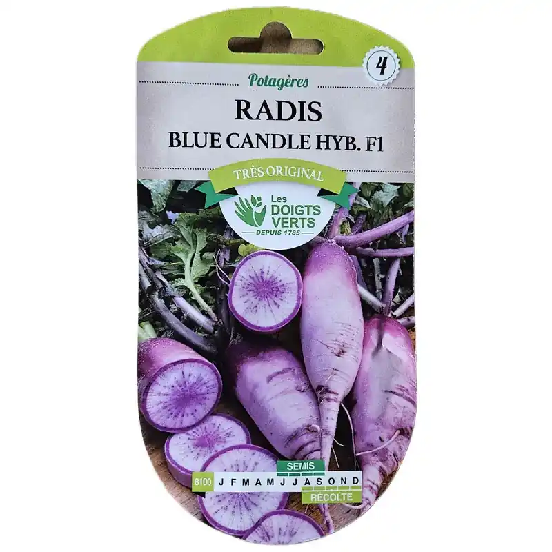 Must-Have RADIS Blue Candle – graines 1g – Les doigts verts