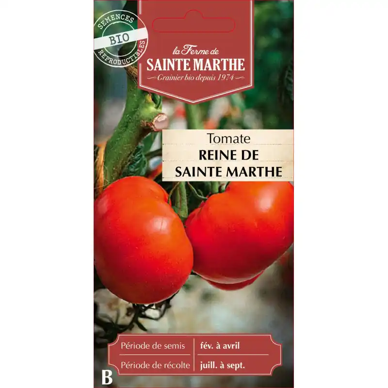 Meilleur Prix Tomate reine de sainte marthe bio – saveur authentique et culture durable – graines à semer