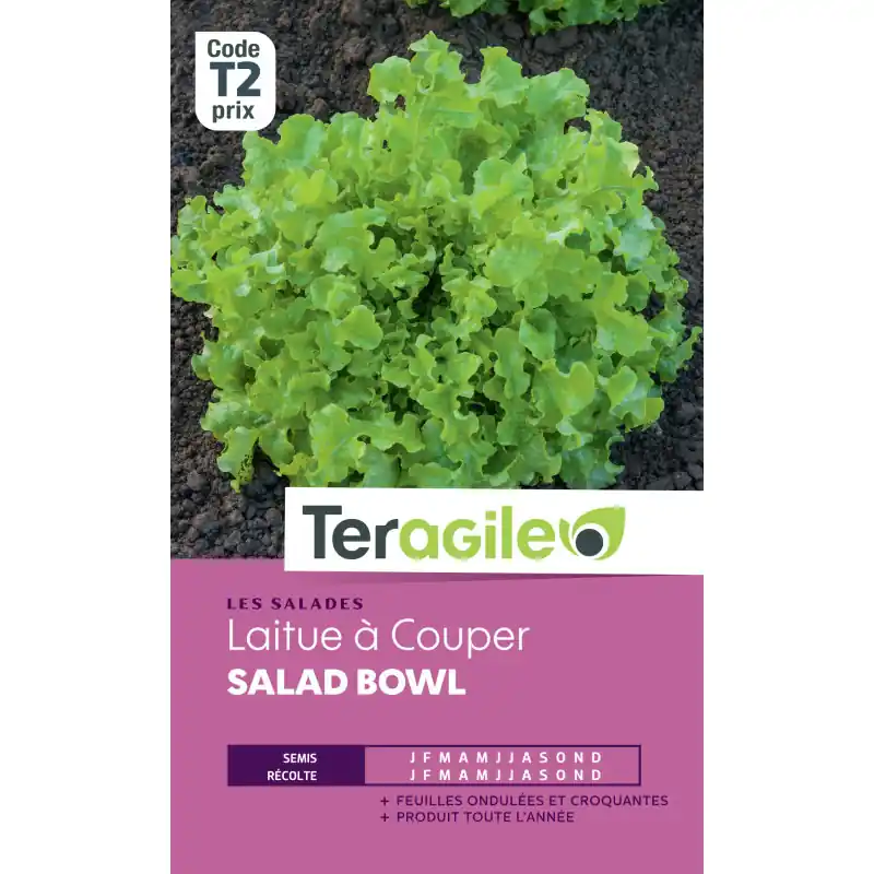 Satisfait Ou Remboursé Laitue a couper salad bowl t2 teragile