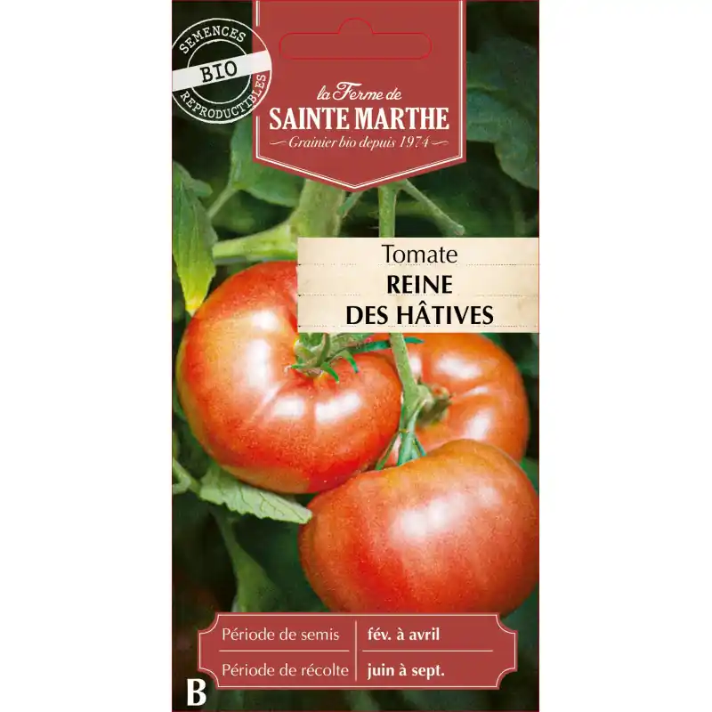 Tomate reine des hâtives bio – ferme sainte marth – graines à semer Authentique
