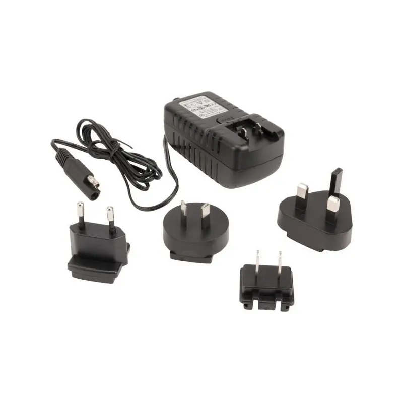 Commander Vite Chargeur batterie Li-Ion 12V pulvérisateur Solo