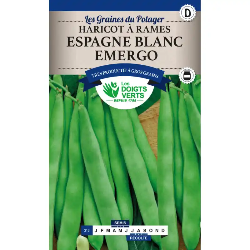 Haricot rame espagne blanc – graines 200g – les doigts verts Haute Qualité